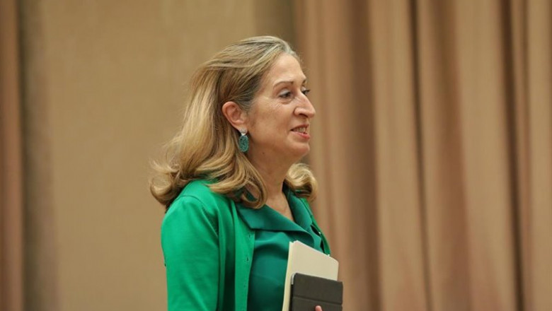 La vicepresidenta tercera del Congreso, Ana Pastor, a su llegada a la reunión de la Diputación Permanente del Congreso | Jesús Hellín - Europa Press - Archivo ep la vicepresidenta tercera del congreso ana pastor a su llegada a la reunion de la diputacion