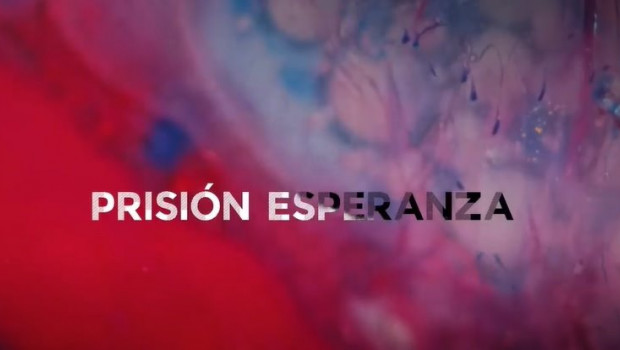 ep manuel carrasco dona a fesbal los derechos de autor de su cancion prision esperanza presentada