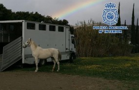 ep policia nacional notaprensaenlacevideofoto la policia nacional