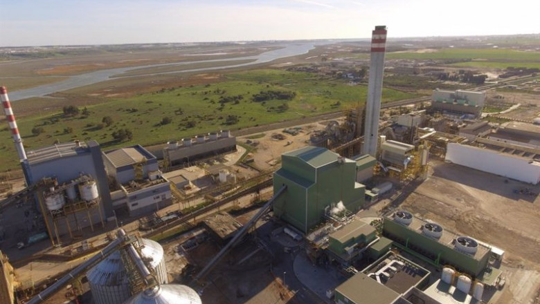 Vista general de la planta de Ence en Huelva. | ENCE. ep vista general de la planta de ence en huelva