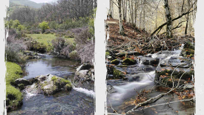 roll up adel sierra norte 3 pgina 01 