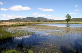 sierra norte de guadalajara1 20250626170844 