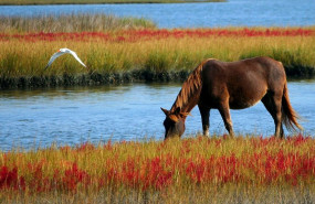 1569256620 post tienda