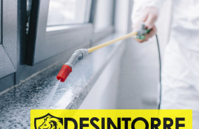 1605882346 control de plagas