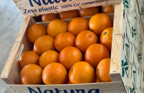 1605966553 img 20200428 wa0005