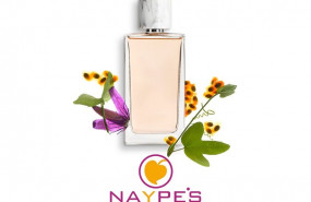 1619261132 cedec comunicado naypes