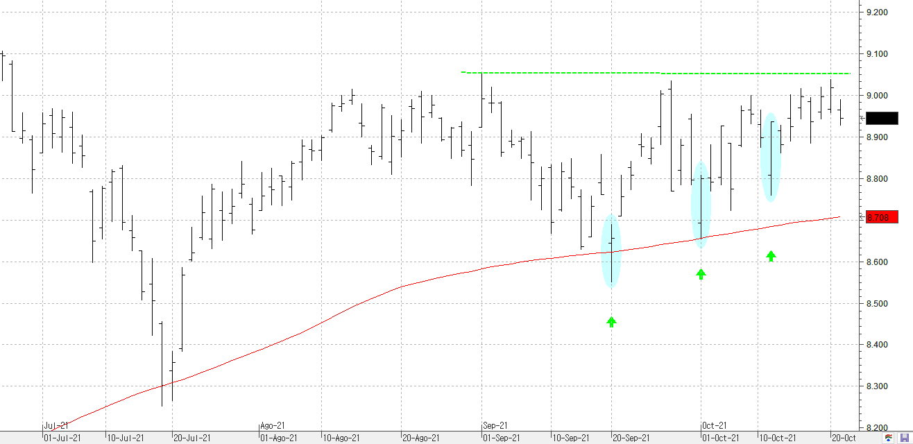 c211021ibex