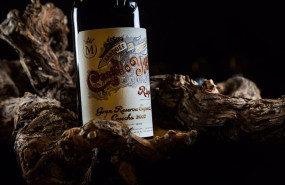 ep archivo   castillo ygay elegido de nuevo mejor vino de rioja