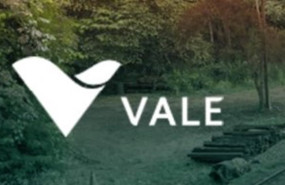 ep archivo logo de la brasilena vale 20260202130503 ep archivo logo de la brasilena vale 20260202130503