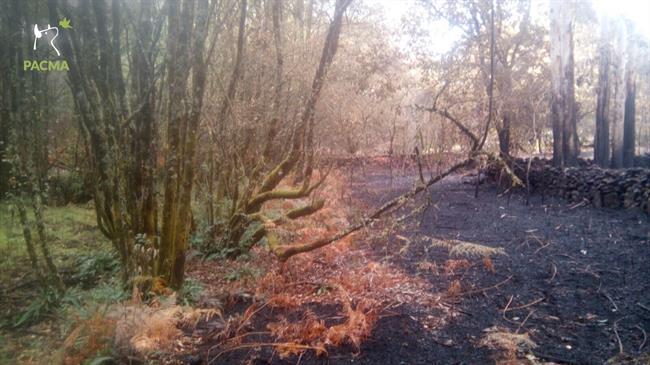 ÞÁreas quemadas en Galicia en los incendios octubre de 2017 | PACMA ep areas quemadasgalicialos incendios octubre2017
