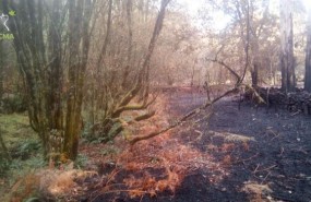 ep areas quemadasgalicialos incendios octubre2017
