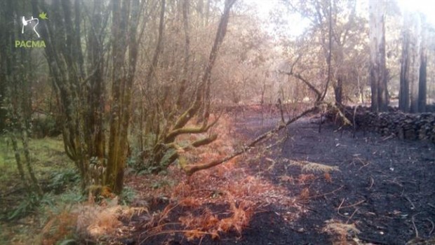 ep areas quemadasgalicialos incendios octubre2017