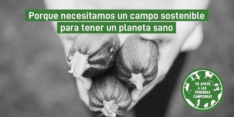 ep dia internacional de la lucha campesina ep dia internacional de la lucha campesina