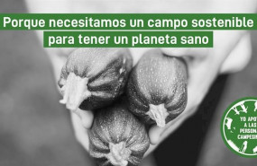 ep dia internacional de la lucha campesina