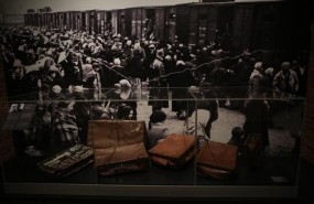 ep exposicionauschwitzcentroexposicionesartecanal