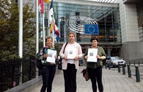ep fammiliareslos detenidosalsasuaparlamento europeo