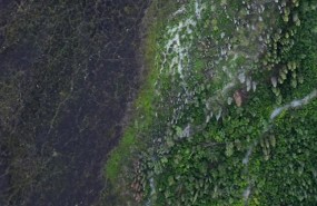 ep google earth revela 467 milions dhectreesbosc sense registrar ep google earth revela 467 milions dhectreesbosc sense registrar