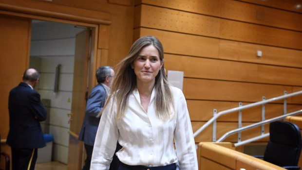 ep la vicepresidenta tercera y ministra para la transicion ecologica sara aagesen durante una sesion