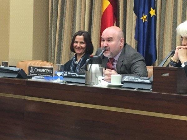 El presidente del CERMI comparece en el Congreso | PSOE ep presidentecermi comparececongreso