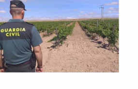 ep un agente de la guardia civil en una bodega