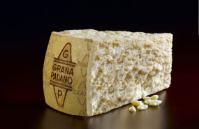 grana padano pre alimentaria 20240313131141 