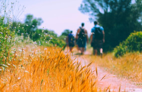 viajes camino de santiago