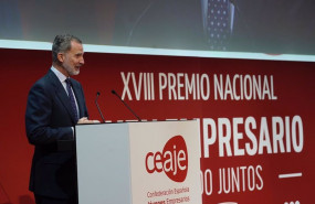 ep archivo   el rey felipe vi durante su intervencion en el xviii premio nacional joven empresario