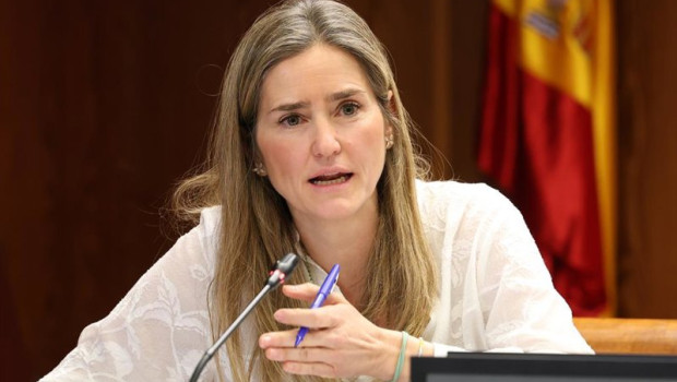 ep archivo   la ministra para la transicion ecologica y el reto demografico sara aagesen durante su