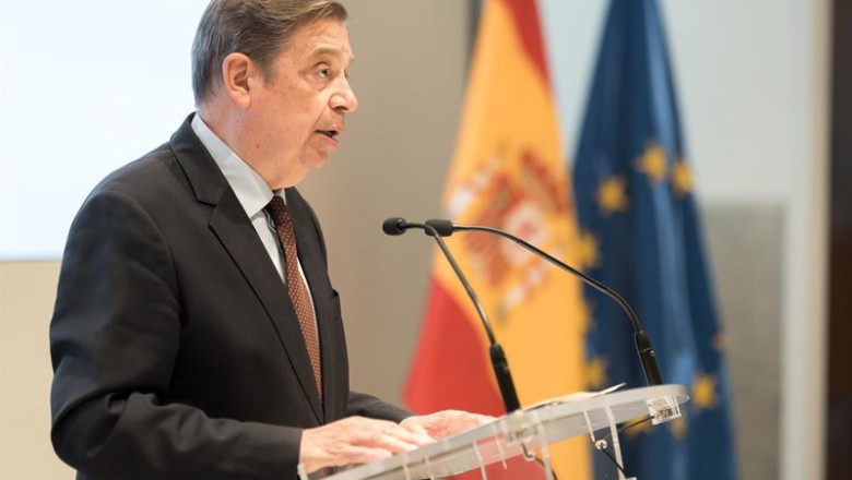 El ministro de Agricultura, Pesca y Alimentación, Luis Planas, ofrece una rueda de prensa | Diego Radamés - Europa Press ep el ministro de agricultura pesca y alimentacion luis planas ofrece una rueda de prensa 20251201163804