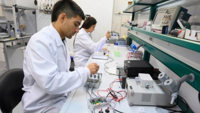 ep en 2025 la inversion privada en las empresas impulsadas por the collider alcanzo 127 millones de