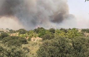 ep incendio de toledo