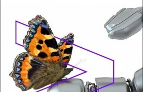 ep informerseaccenture espana