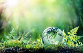 ep la organizacion mundial del turismo premia a climatetrade