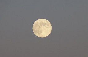 ep luna llena cielo nocturno