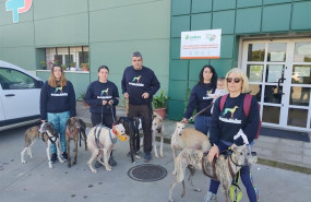 ep miembros de galgos del sur con los galgos rescatados de sadeco