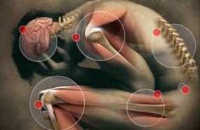 fatiga cronica fisiofocus