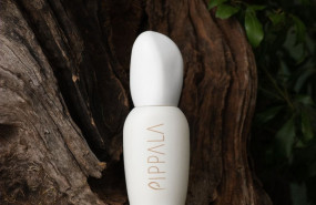 imagen de whatsapp 2025 07 28 a las 135149 380cafcd 