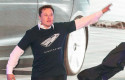 musk bailando