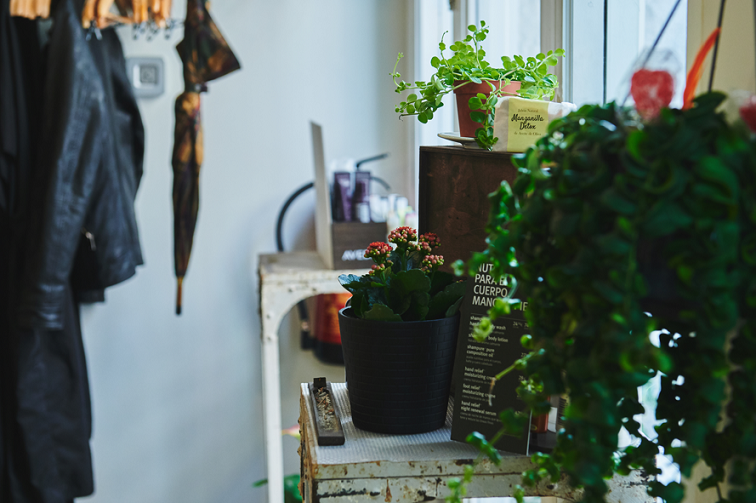 1639664637 sin t tulo