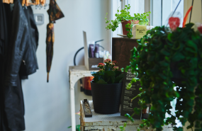 1639664637 sin t tulo