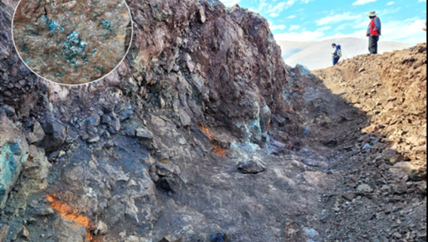 camino minerals