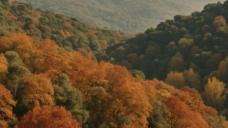 captura de pantalla 2025 09 30 a les 133214