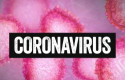 cbvirus sdrl1 cbvirus sdrl1
