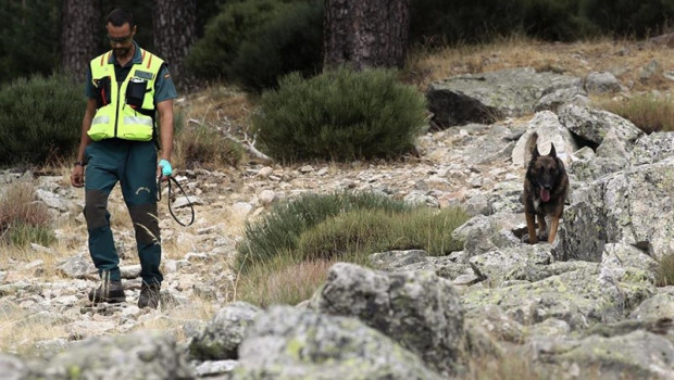 ep acompanado de un perro de rastreo un agente de la guardia civil continua con los trabajos de