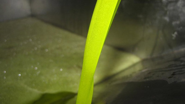 ep archivo aceite de oliva en almazara 20260413171904 ep archivo aceite de oliva en almazara 20260413171904