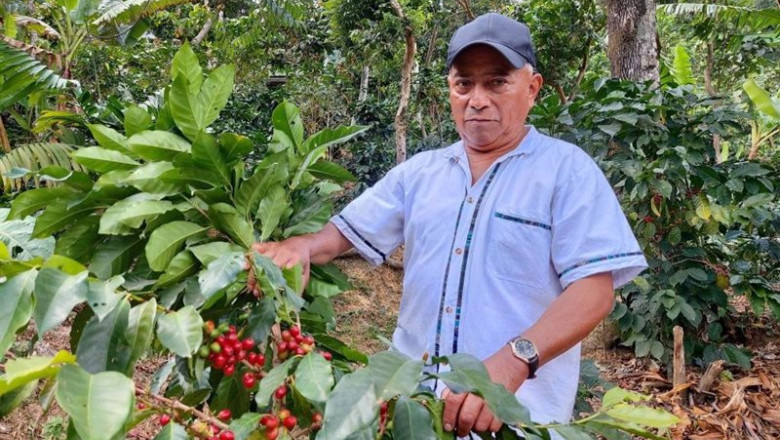 ep archivo filantropico y ethichub se unen llevar cafe de especialidad mas solidario y sostenible ep archivo filantropico y ethichub se unen llevar cafe de especialidad mas solidario y sostenible