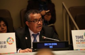 ep director generalla omsla asambleala onu