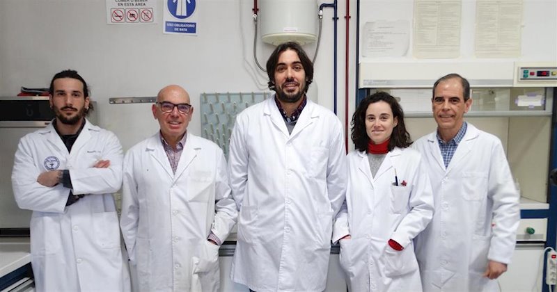 ep el grupo de investigacion de la ugr que ha llevado a cabo este trabajo