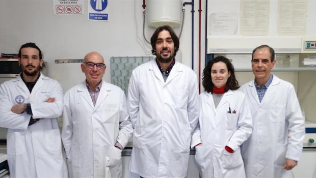 ep el grupo de investigacion de la ugr que ha llevado a cabo este trabajo
