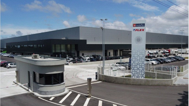 ep el grupo flex adquiere el 100 de marmota